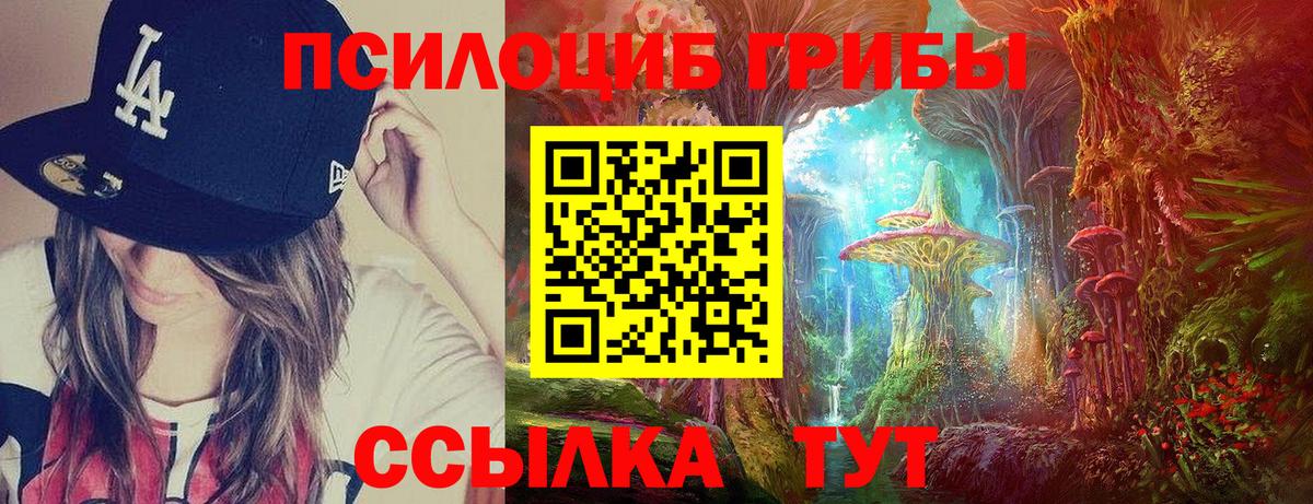 Хабаровск  где купить наркотик  Вход с VPN  Галлюциногенные грибы прущие грибы 